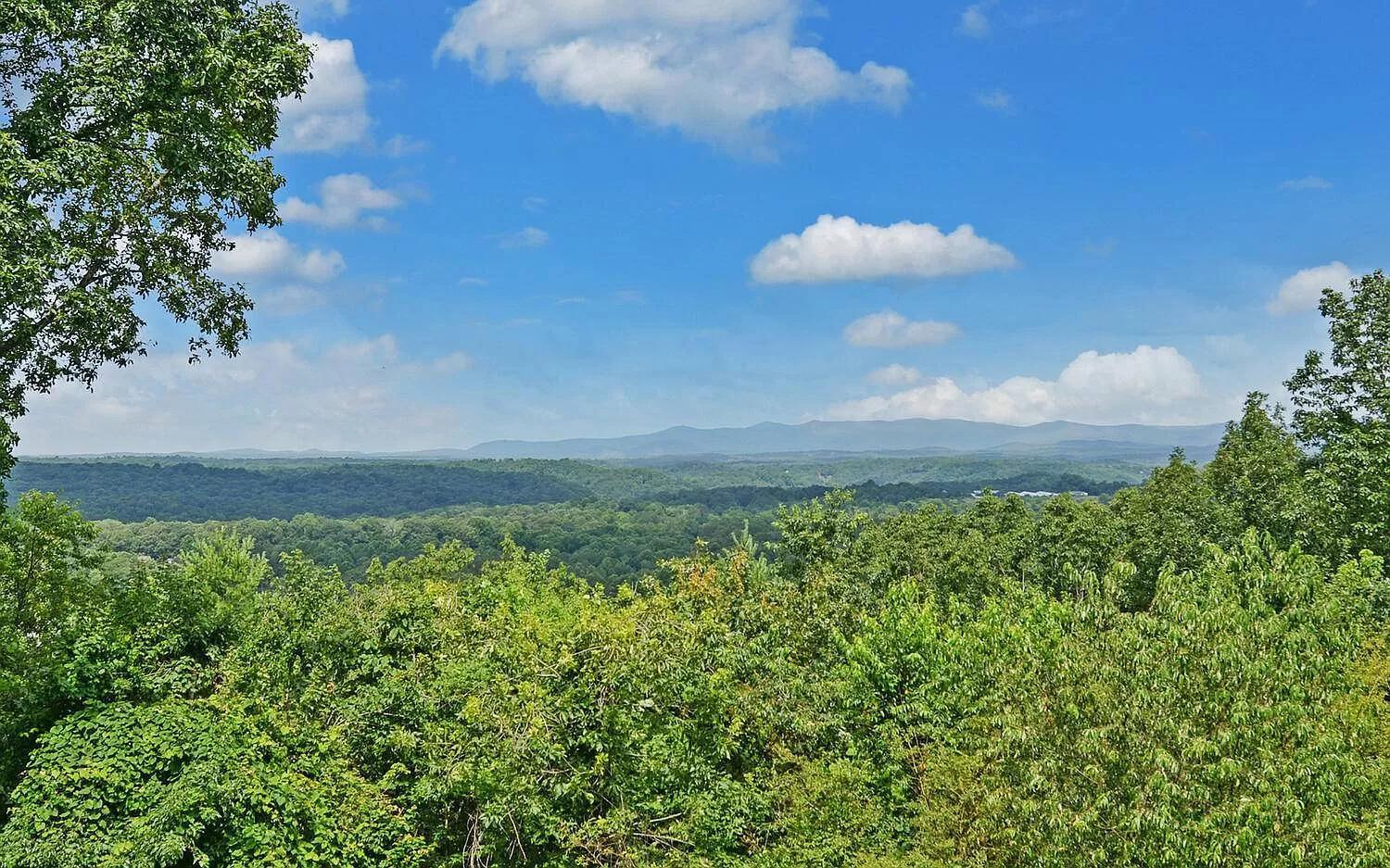 Birds Eye Cabin - Sunset & Starry Retreat Pet Friendly W Private Hottub, Fire Pit And Game Room Эллиджей Экстерьер фото